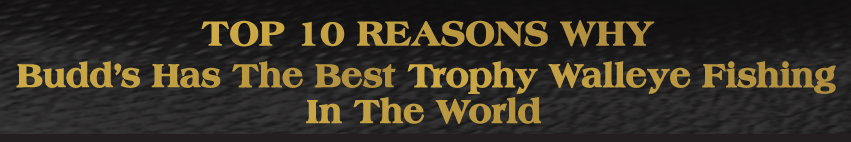 Top_10_Reasons_Panel_header Top 10 reasons why Budd's Gunisao Lake Lodge is Canada's BEST Trophy Walleye and Northern Pike Fishing