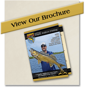 view-our-brochure view-our-brochure