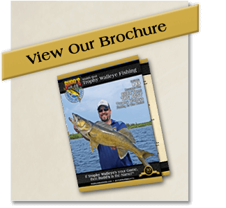 view-our-brochure