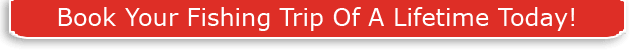 Book-Your-Trip-Button-wide