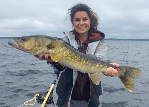 Jennie-32-walleye 32 inch Walleye Budd's Gunisao Lake Lodge World's Best Trophy Walleye and Northern Pike Fishing, Manitoba, Canada