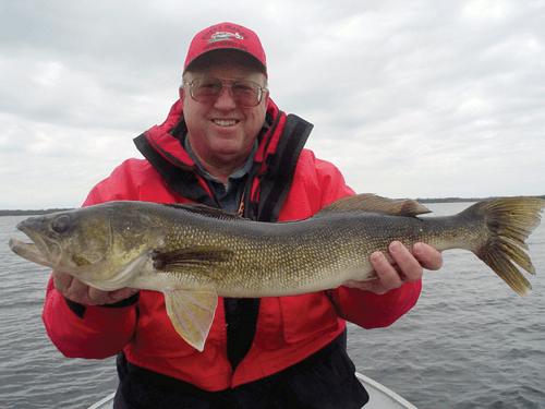 HUGE Walleye caught at Budd's Gunisao Lake Lodge World's Best Trophy Walleye and Northern Pike Fishing, Manitoba, Canada