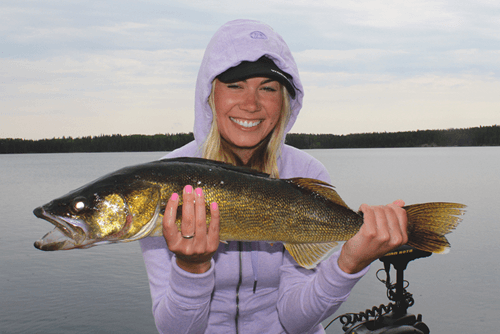 HUGE Walleye caught buy Mariko Izumi at Budd's Gunisao Lake Lodge World's Best Trophy Walleye and Northern Pike Fishing, Manitoba, Canada