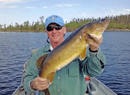 HUGE Walleye caught at Budd's Gunisao Lake Lodge World's Best Trophy Walleye and Northern Pike Fishing, Manitoba, Canada joined Budd's Master Angler Club
