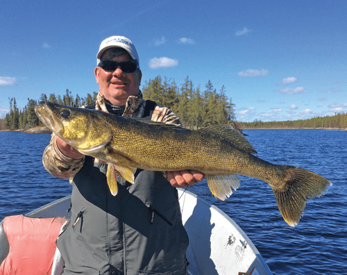 Top10-number3 HUGE Walleye caught at Budd's Gunisao Lake Lodge World's Best Trophy Walleye and Northern Pike Fishing, Manitoba, Canada joined Budd's Master Angler Club