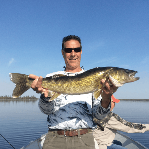 HUGE Walleye caught at Budd's Gunisao Lake Lodge World's Best Trophy Walleye and Northern Pike Fishing, Manitoba, Canada joined Budd's Master Angler Club