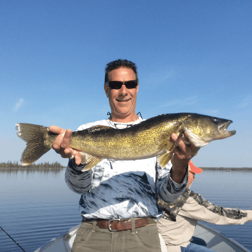 Top10-number5 HUGE Walleye caught at Budd's Gunisao Lake Lodge World's Best Trophy Walleye and Northern Pike Fishing, Manitoba, Canada joined Budd's Master Angler Club