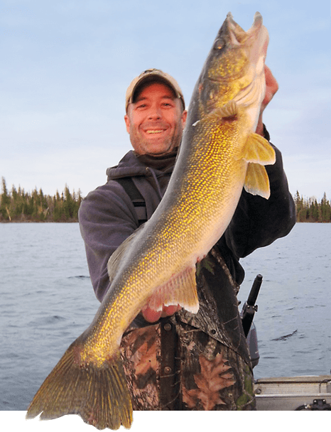 HUGE Walleye caught at Budd's Gunisao Lake Lodge World's Best Trophy Walleye and Northern Pike Fishing, Manitoba, Canada joins Budd's Master Angler Club