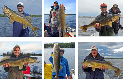 Budd's Gunisao Lake Lodge | Canada's BEST Trophy Walleye and Northern Pike Fishing photo gallery