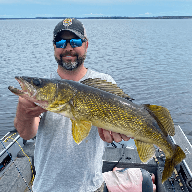 Dusty Budd Large Walleye caught at Budd's Gunisao Lake Lodge