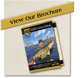 view-our-brochure