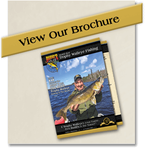 view-our-brochure view-our-brochure