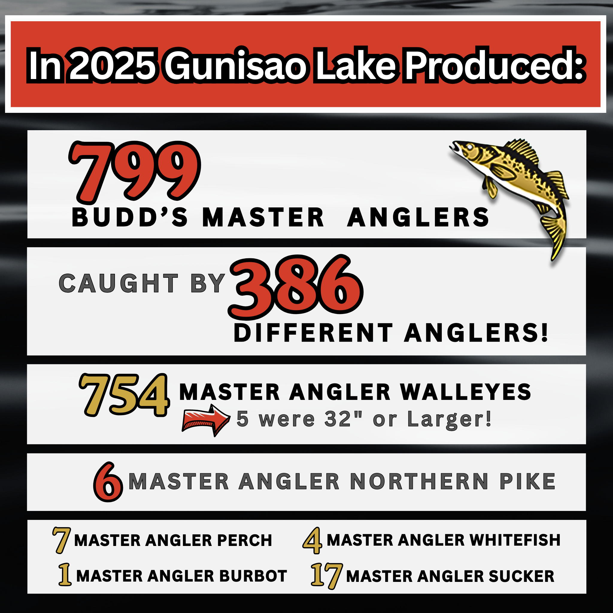 2025 Season Highlight Stats