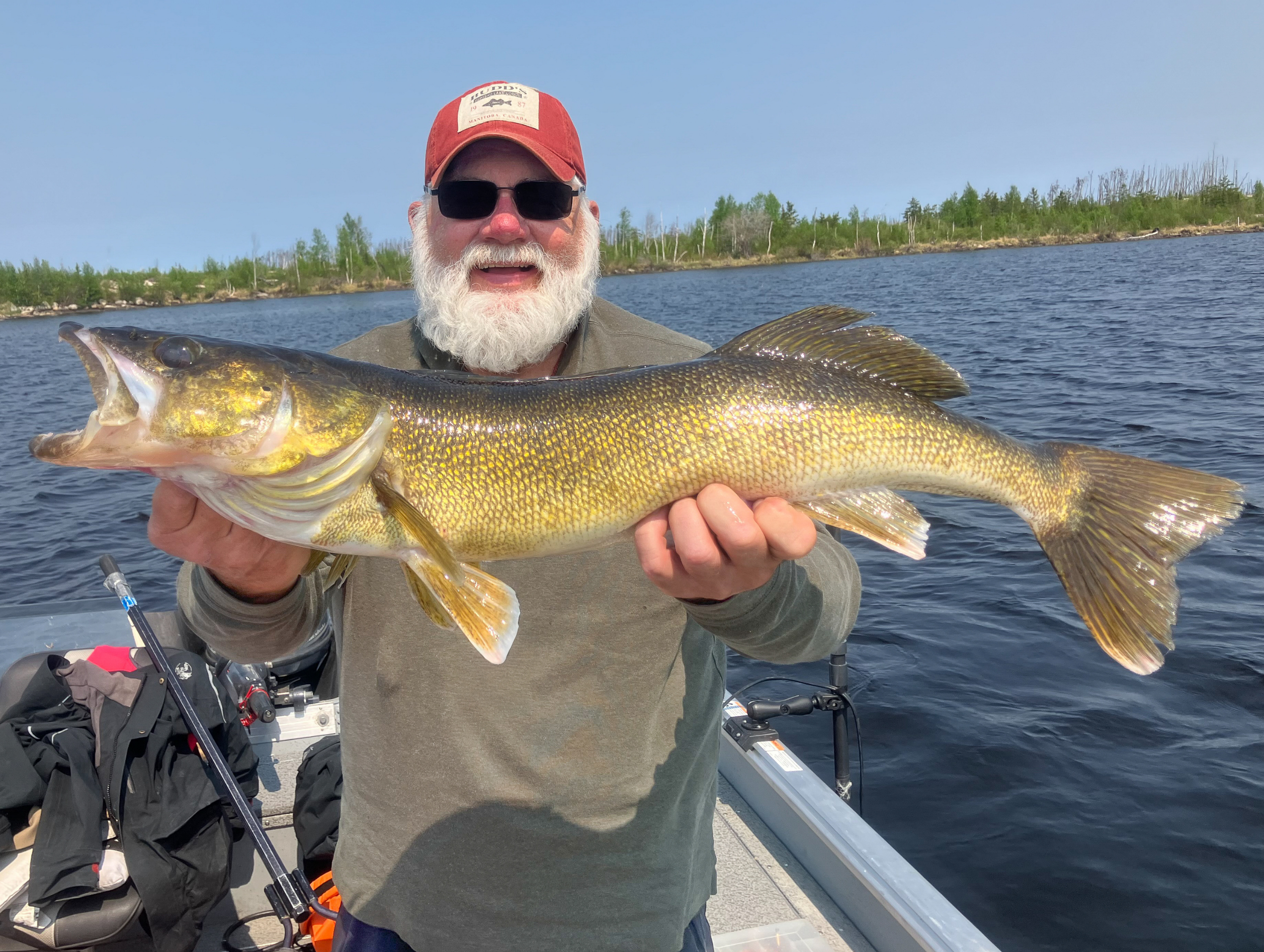 32.5 inch walleye caught by a 2025 guest (1)