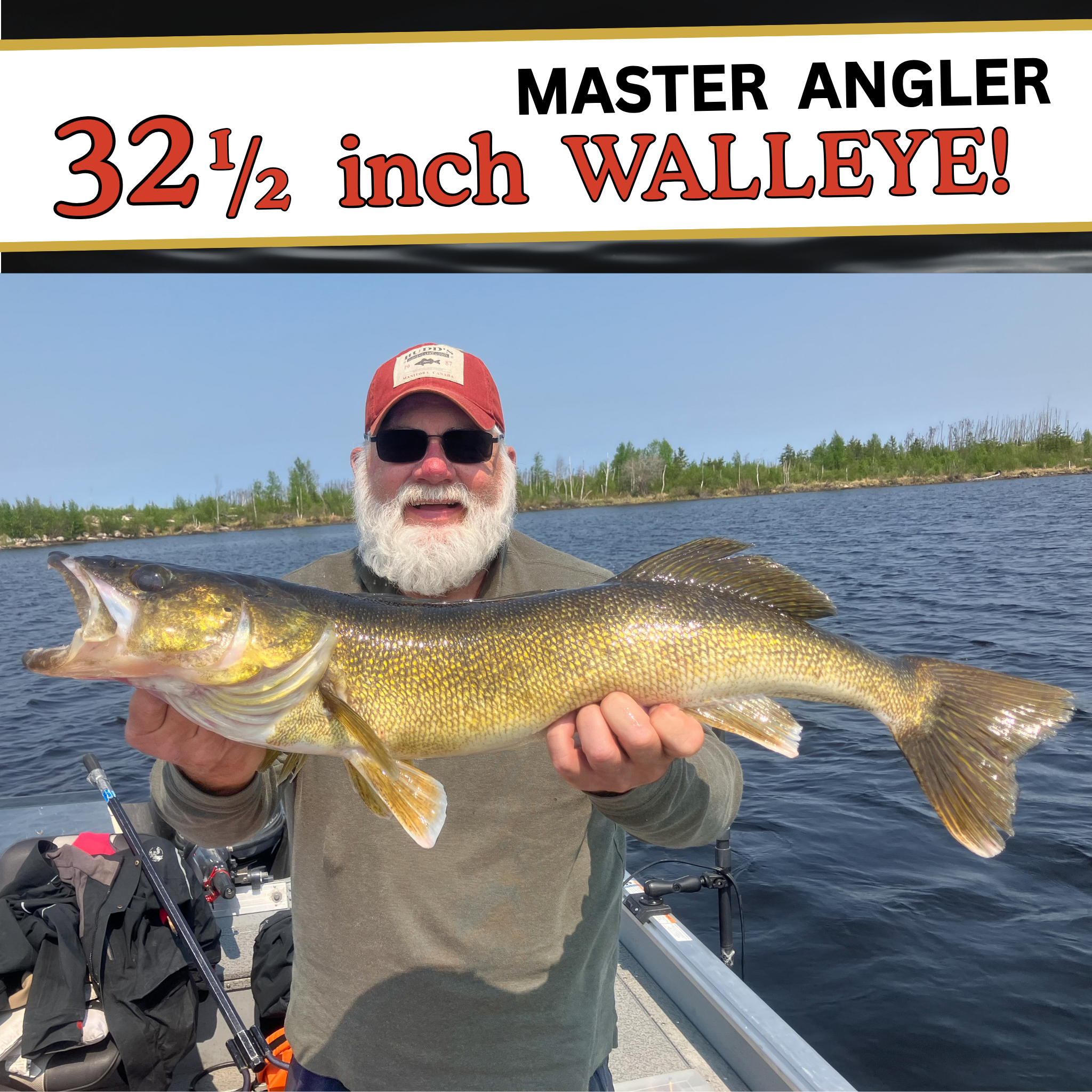 32.5 inch walleye caught by a 2025 guest (1)