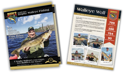 Brochure & 2025 Walleye Wall