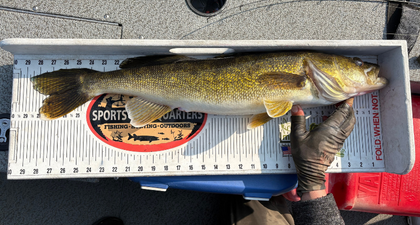fish measurement